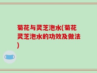 菊花与灵芝泡水(菊花灵芝泡水的功效及做法)