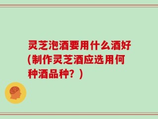 灵芝泡酒要用什么酒好(制作灵芝酒应选用何种酒品种？)
