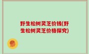 野生松树灵芝价钱(野生松树灵芝价格探究)
