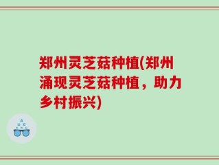郑州灵芝菇种植(郑州涌现灵芝菇种植，助力乡村振兴)