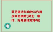 灵芝做法与功效与作用及禁忌图片(灵芝：制作、好处和注意事项)