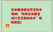 玉米糖渣栽培灵芝技术视频(“利用玉米糖渣进行灵芝栽培技术”视频教程)