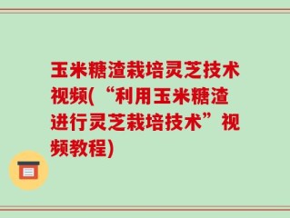玉米糖渣栽培灵芝技术视频(“利用玉米糖渣进行灵芝栽培技术”视频教程)