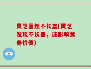 灵芝菌丝不长盖(灵芝发现不长盖，或影响营养价值)
