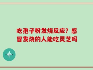 吃孢子粉发烧反应？感冒发烧的人能吃灵芝吗