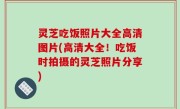 灵芝吃饭照片大全高清图片(高清大全！吃饭时拍摄的灵芝照片分享)