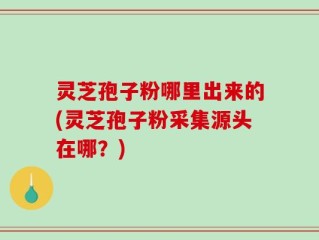 灵芝孢子粉哪里出来的(灵芝孢子粉采集源头在哪？)
