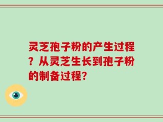 灵芝孢子粉的产生过程？从灵芝生长到孢子粉的制备过程？