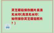 灵芝蘑菇保存图片高清无水印(高清无水印：如何保存灵芝蘑菇照片？)