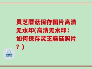 灵芝蘑菇保存图片高清无水印(高清无水印：如何保存灵芝蘑菇照片？)