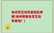 亳州灵芝培养基地在哪里(亳州哪里有灵芝培养基地？)
