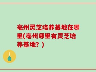 亳州灵芝培养基地在哪里(亳州哪里有灵芝培养基地？)