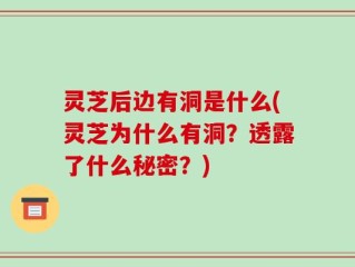 灵芝后边有洞是什么(灵芝为什么有洞？透露了什么秘密？)