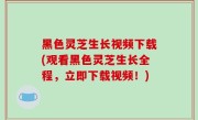 黑色灵芝生长视频下载(观看黑色灵芝生长全程，立即下载视频！)