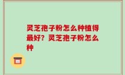 灵芝孢子粉怎么种植得最好？灵芝孢子粉怎么种