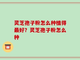 灵芝孢子粉怎么种植得最好？灵芝孢子粉怎么种