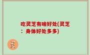 吃灵芝有啥好处(灵芝：身体好处多多)