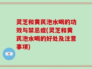 灵芝和黄芪泡水喝的功效与禁忌症(灵芝和黄芪泡水喝的好处及注意事项)