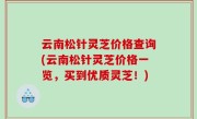 云南松针灵芝价格查询(云南松针灵芝价格一览，买到优质灵芝！)