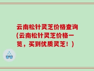 云南松针灵芝价格查询(云南松针灵芝价格一览，买到优质灵芝！)