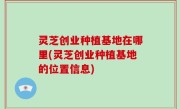 灵芝创业种植基地在哪里(灵芝创业种植基地的位置信息)