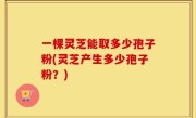 一棵灵芝能取多少孢子粉(灵芝产生多少孢子粉？)