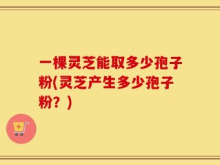 一棵灵芝能取多少孢子粉(灵芝产生多少孢子粉？)