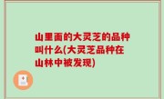 山里面的大灵芝的品种叫什么(大灵芝品种在山林中被发现)