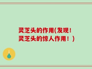 灵芝头的作用(发现！灵芝头的惊人作用！)