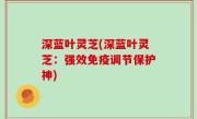 深蓝叶灵芝(深蓝叶灵芝：强效免疫调节保护神)