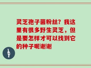 灵芝孢子菌粉丝？我这里有很多野生灵芝，但是要怎样才可以找到它的种子呢谢谢