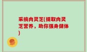 采摘肉灵芝(提取肉灵芝营养，助你强身健体)