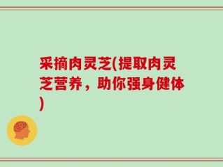 采摘肉灵芝(提取肉灵芝营养，助你强身健体)