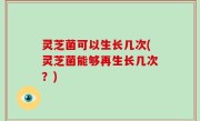 灵芝菌可以生长几次(灵芝菌能够再生长几次？)