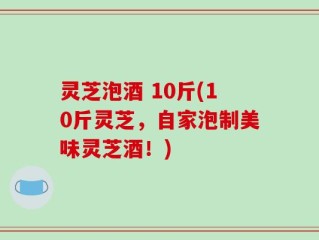 灵芝泡酒 10斤(10斤灵芝，自家泡制美味灵芝酒！)