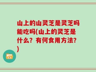 山上的山灵芝是灵芝吗能吃吗(山上的灵芝是什么？有何食用方法？)