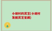 小胡村的灵芝(小胡村发掘灵芝宝藏)