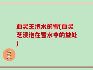 血灵芝泡水的雪(血灵芝浸泡在雪水中的益处)