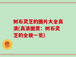 树石灵芝的图片大全高清(高清图赏：树石灵芝的全貌一览)