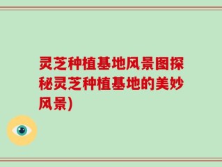 灵芝种植基地风景图探秘灵芝种植基地的美妙风景)