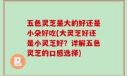 五色灵芝是大的好还是小朵好吃(大灵芝好还是小灵芝好？详解五色灵芝的口感选择)