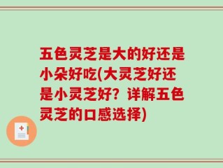五色灵芝是大的好还是小朵好吃(大灵芝好还是小灵芝好？详解五色灵芝的口感选择)