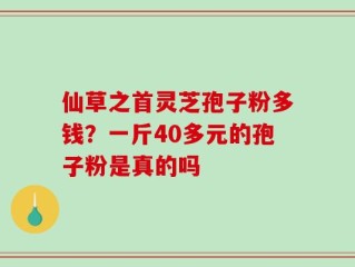 仙草之首灵芝孢子粉多钱？一斤40多元的孢子粉是真的吗
