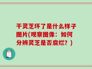干灵芝坏了是什么样子图片(观察图像：如何分辨灵芝是否腐烂？)