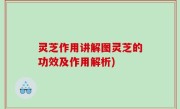 灵芝作用讲解图灵芝的功效及作用解析)