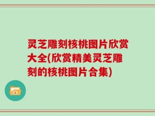 灵芝雕刻核桃图片欣赏大全(欣赏精美灵芝雕刻的核桃图片合集)
