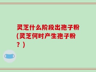 灵芝什么阶段出孢子粉(灵芝何时产生孢子粉？)