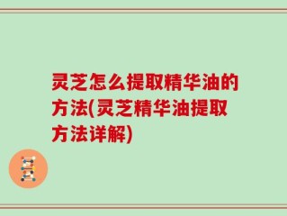 灵芝怎么提取精华油的方法(灵芝精华油提取方法详解)