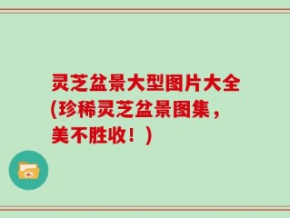 灵芝盆景大型图片大全(珍稀灵芝盆景图集，美不胜收！)