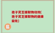 孢子灵芝提取物功效(孢子灵芝提取物的健康益处)